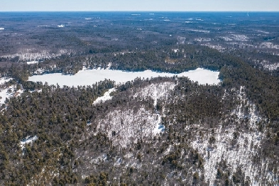 Muskoka Waterfront Property Image# 10