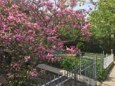 2nd Flr Bedrm @ Bloor&Dufferin/WIFI/Air Condition