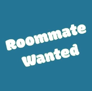 Roommate Wanted (any gender) Image# 1