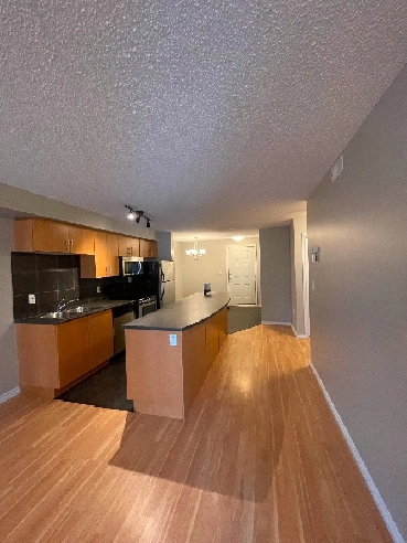 Downtown 2 Bed,2 Bath,Heated Underground Parking Condo For Sale! Image# 1