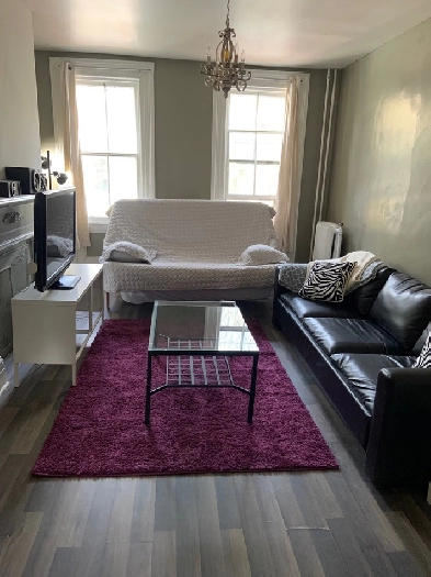 Cozy FURNISHED HFX apt & READY (JUNE only) Image# 1