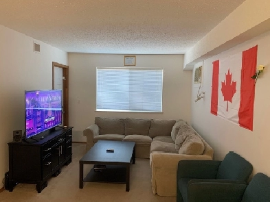 One room in sharing available in two bedroom apartment Image# 1