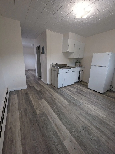 Bachelor Apartment available June 1st Image# 1