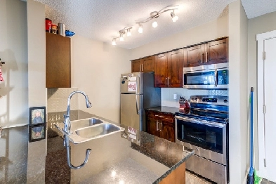 2 Bed 2 Bath Condo with 2 parking stalls Near CFB EDMONTON Image# 7