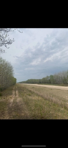 For Sale 94.80 Acres On Highway 15 Near Elma MB Image# 1