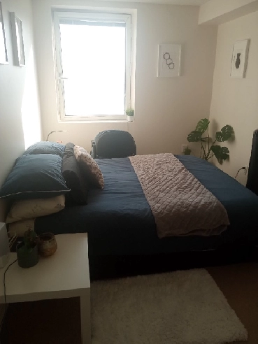 1 bed downtown Ottawa $1400/month incl utilit- 2.5 months Sublet Image# 1