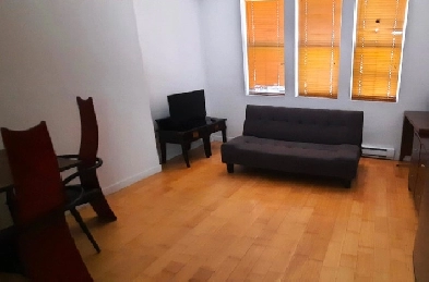 Downtown furnished apartment with one bedroom , immidiately Image# 1
