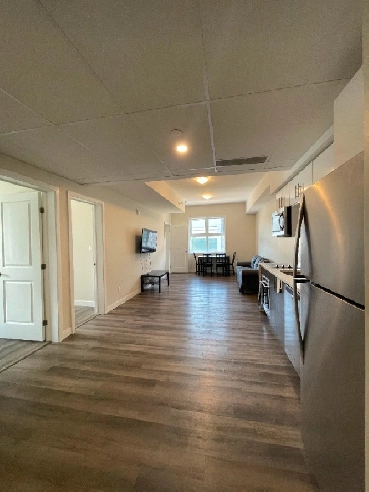 Room for Rent in Three Bedroom Apartment near uOttawa Sandyhill Image# 10
