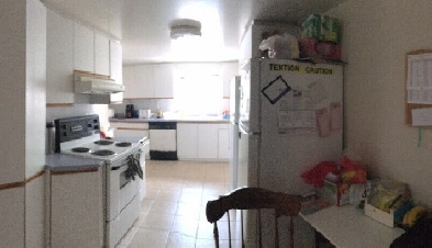 Furnished Room for Rent All Inclusive in ByWard Market Area Image# 2