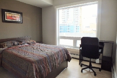 Fully furnished Downton Executive suite near Arena Image# 1