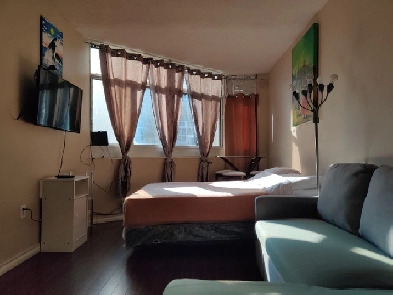 FURNISHED BACHELOR STUDIO NEAR EATON CENTRE WITH SPECIALL OFFER Image# 1