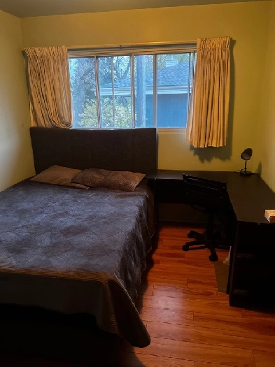 ISO all inclusive room @ 250/week close to Downtown Concordia Image# 1