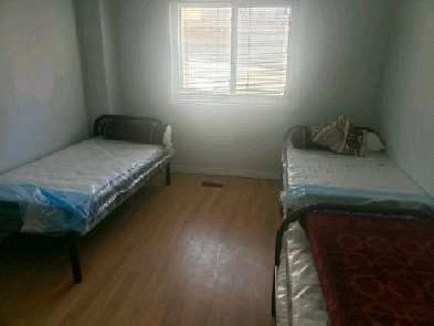 Sharing Room For Rent Scarborough for Indian Girl sharing with.. Image# 1