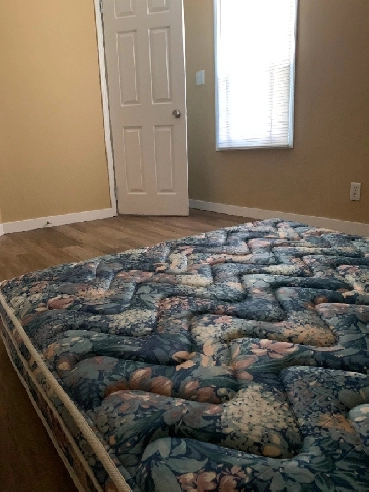 One bedroom rent Image# 1