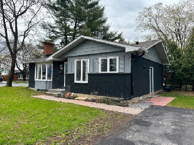 3Bd1Ba Newly reno nr walkley,altavista,bank,st lrnt,CHEO & 417 Image# 5