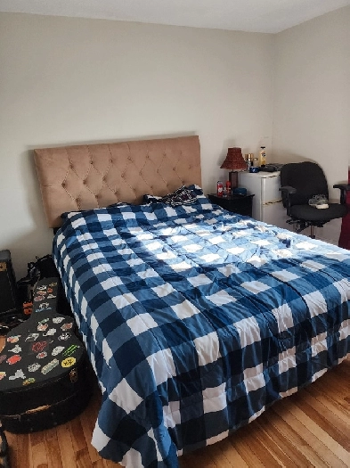 ROOM FOR RENT $650-All Included Image# 1