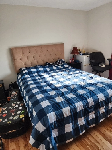 ROOM FOR RENT $650-All Included Image# 3