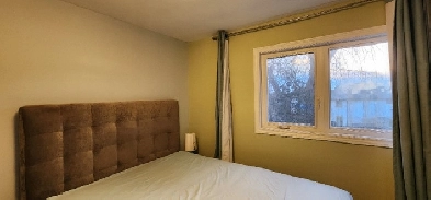 Room For Rent Image# 1