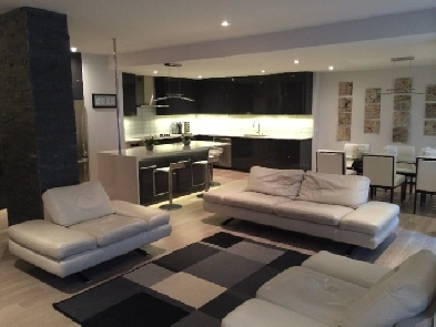 Executive Downtown Condo for Rent