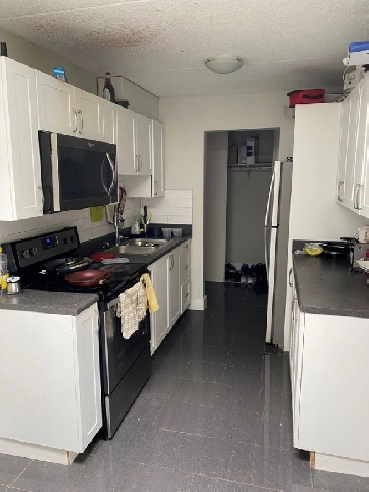 Welcome to 56 Donald Street Image# 1