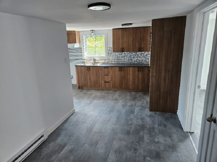 4 1/2 rénové entièrement 2023, avec bureau et walk in in Québec City,QC