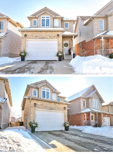 Basement for lease Now available Image# 1