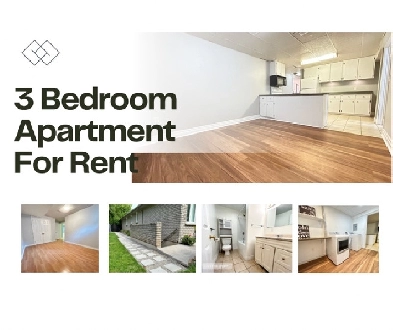 Calling all Niagara College students!