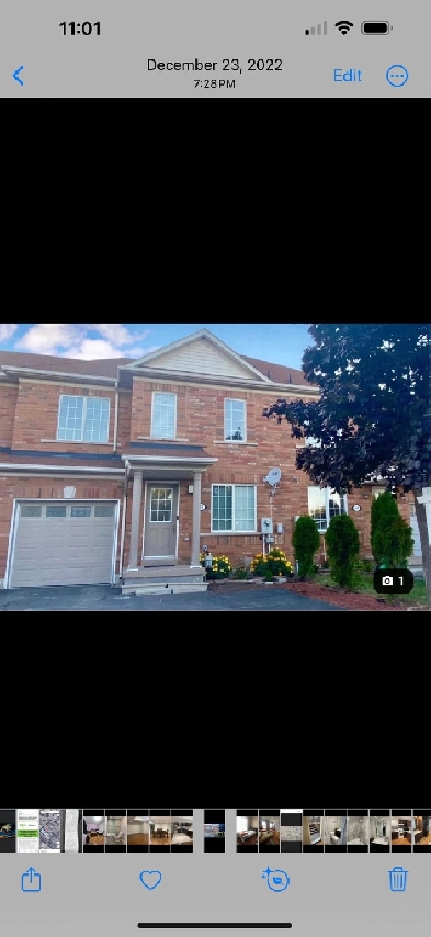 Room for Rent Image# 1