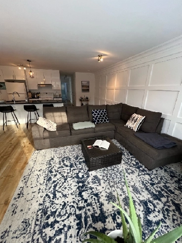 4.5 haut de gamme, quartier Émile Zola, nord de Sherbrooke