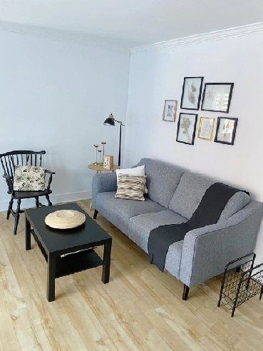 GRAND LOGEMENT 2 CHAMBRES Image# 1