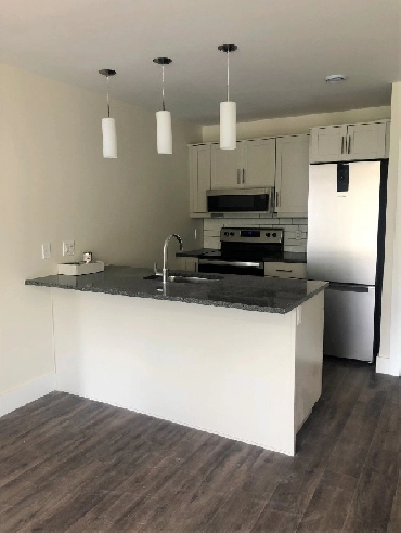 2 Bedroom / 1 Bath Apartment - Available Sept 1st Image# 1