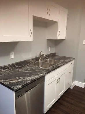 Furnished 2 bedroom on lower level of 4Plex Building Image# 4