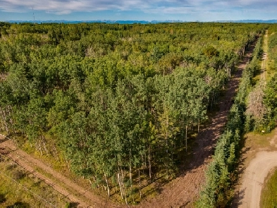 Exceptional Private & Treed Lot in Bearspaw Image# 1