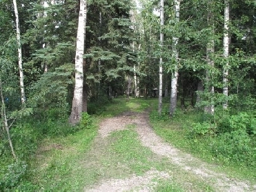 BEAUTIFUL 3.34 acres for sale at Buck Lake , Alberta! Image# 1