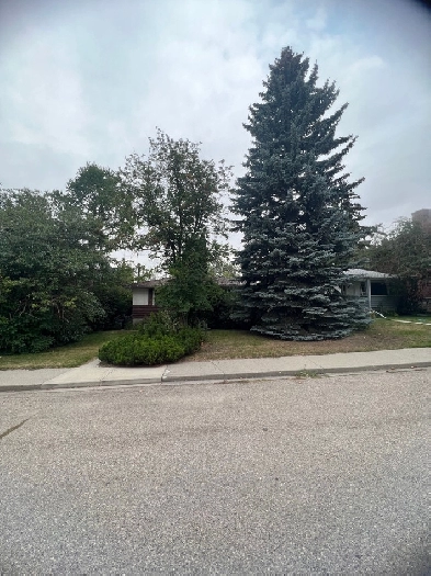 50x120 FLAT LOT IN RIDEAU PARK BACKING ONTO THE SCHOOL GROUND Image# 1