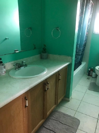 Room for Rent Image# 1