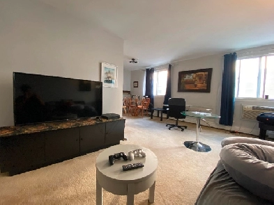 DOWNTOWN - FULLY FURNISHED 1 BEDROOM APARTMENT Image# 1