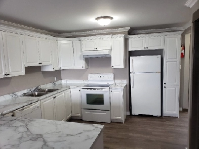 One Bedroom Apt for Rent Image# 1