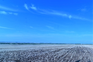 160 acres of agricultural land east of Okotoks Image# 1