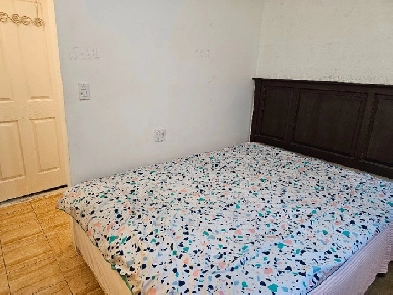 YorkU Dental college Senaca near Sheppard W stn Room for girl