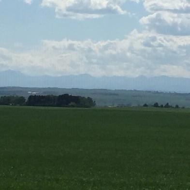 60 Acres of Beautiful Land for Sale in Aldersyde near Okotoks AB Image# 1