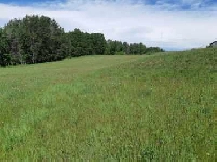 acreages reduced Image# 1