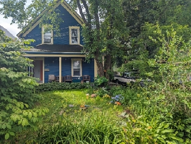 Furnished 2 BDRM ideal for remote working  near Picaroons Image# 6