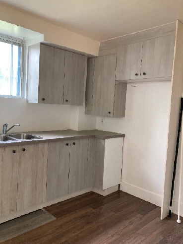 LIBRE- Ahuntsic- DEMI-sousol- neuf-Marché Central