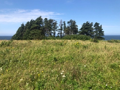 Jeffrey’s, NL. Land for Sale out on the Bank Image# 1