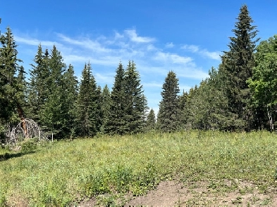 100 acres NW near Cremona FSBO Image# 5