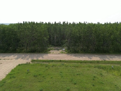 Empty Lot for Sale - Turtle Lake, Saskatchewan Image# 1