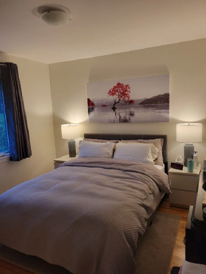 Heron/Bank/Billings Bridge Furnished Room $800-900 All Inclusive in Ottawa,ON - Room Rentals & Roommates
