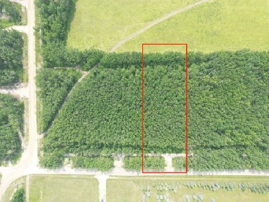 Vacant Lot - Turtle Lake, Saskatchewan Image# 2