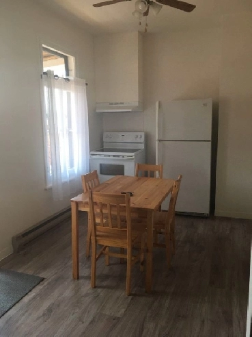 Appartement à louer - 3 1/2 à Saint-Raymond Image# 1